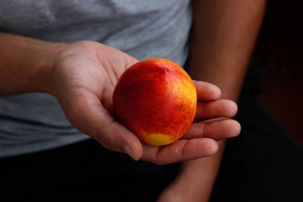 istock peach in hand, man holding peach in hand 2190705746
