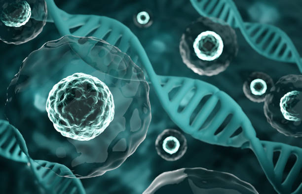 istock Research of stem cells. Stem cells under a microscope. Cellular Therapy 2190707383
