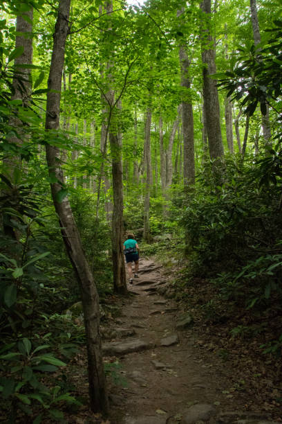 istock New River Gorge NP - Endless Wall Trail - The Trail Narrows 2190708482
