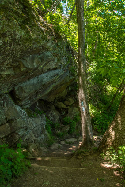 istock Shenandoah NP - Dark Hollow Falls Trail - Beside a Rock Wall 2190708600