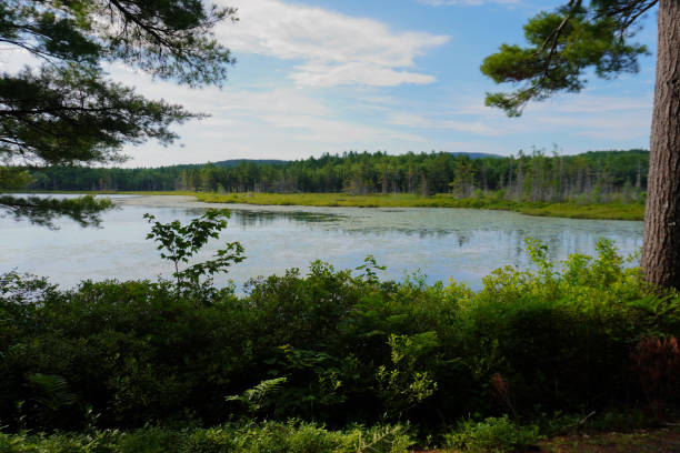 istock Hiking Trail Pond Acadia Maine Carriage Trails 2190709521