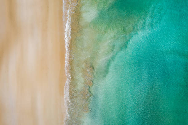istock Turquoise White Beach in Dominican Republic 2190712485