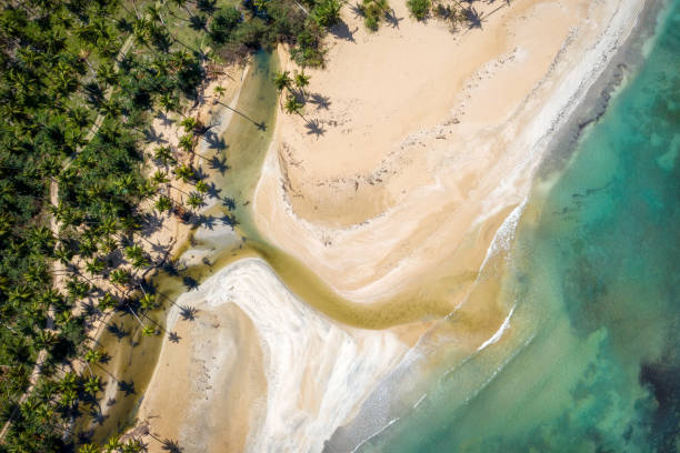 istock Turquoise White Beach in Dominican Republic 2190712486