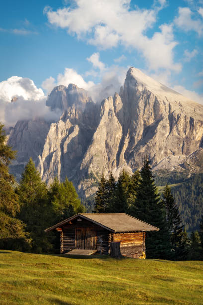 istock Alpe di Siusi in the Italian Dolomites 2190714634