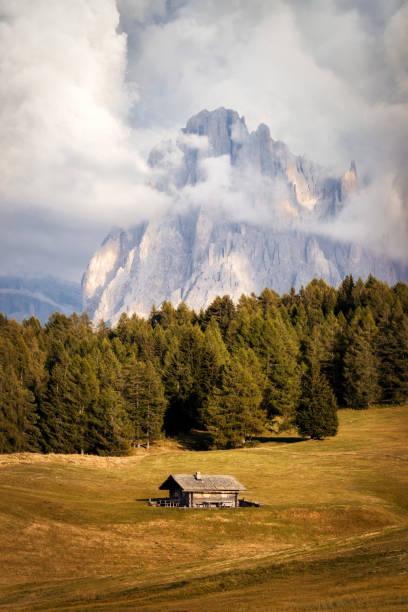 Alpe di Siusi in the Italian Dolomites