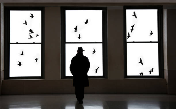 USA New York, mystery man walking towards windows with flock of pigeons outside