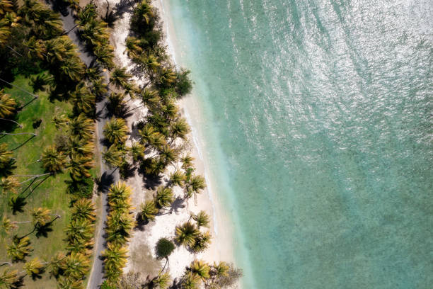 istock Caribbean Turquoise Water Sand Beach with Palm Trees 2190717373
