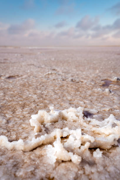 Dry Pink Salt Lake in Tunisia