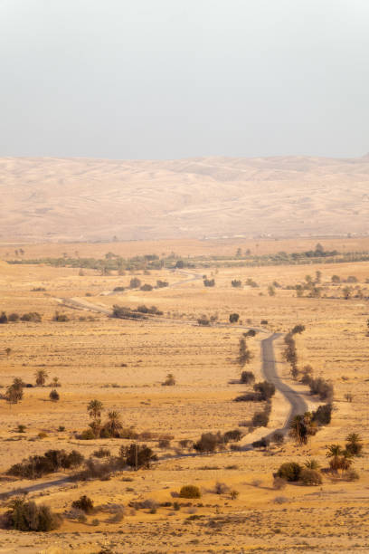 Sahara Desert Sunset and Road in Tunesia