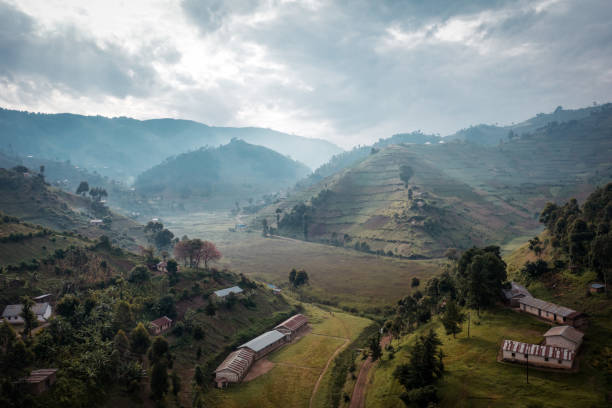 Early morning mist in the Uganda Highlands