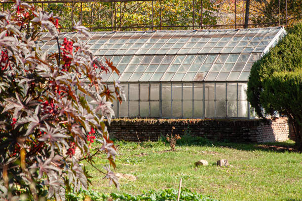metal and plastic greenhouse in rural countryside