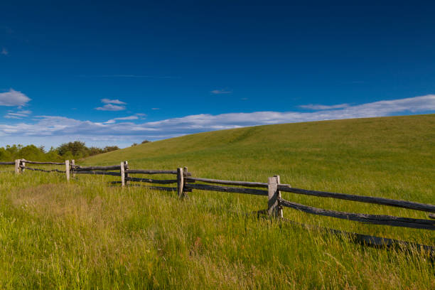 istock Meadow on The Blue Ridge Parkway, NC 2190724450