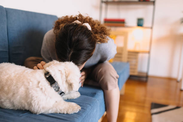 istock Enjoy the afternoon on the sofa with my dog 2190729129