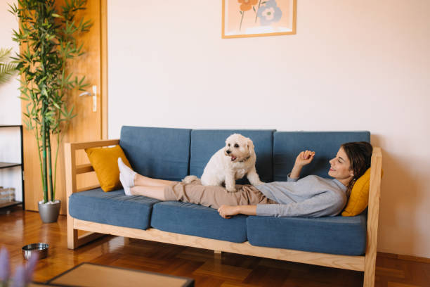 istock Enjoy the afternoon on the sofa with my dog 2190729145
