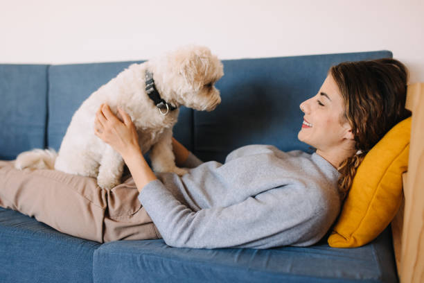 istock Enjoy the afternoon on the sofa with my dog 2190729162