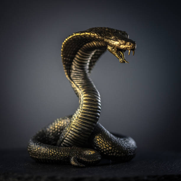 istock Golden Cobra in Striking Pose with Dark Background 2190729245