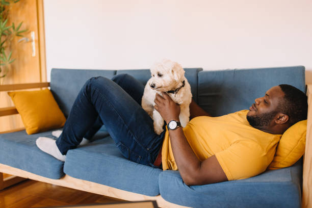 istock Enjoy the afternoon on the sofa with my dog 2190729344