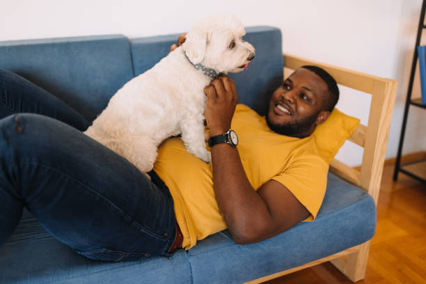 istock Enjoy the afternoon on the sofa with my dog 2190729365