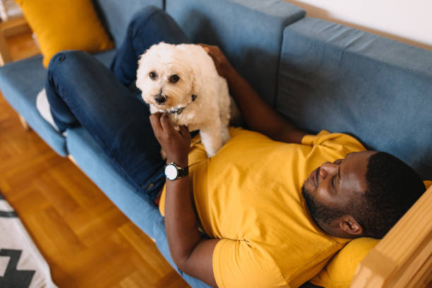 istock Enjoy the afternoon on the sofa with my dog 2190729366