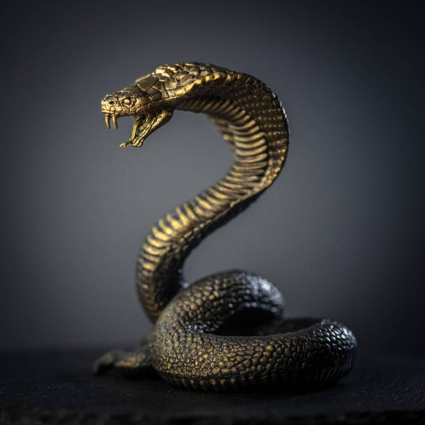 istock Golden Cobra in Striking Pose with Dark Background 2190729512