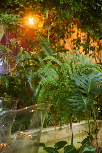 istock Experience a Lush Indoor Garden adorned with Soft Ambient Lighting and Exquisite Tropical Foliage 2190731017