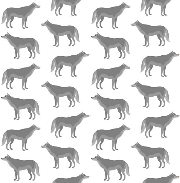 Texture Pattern Wolf 80+ Wolf Fur Texture Backgrounds Stock Illustrations, Royalty-Free ...