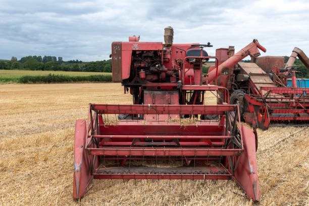 Haselbury Plucknet.Somerset.United Kingdom.August 17th 2024.A Massey Ferguson 31 combine harvester is on show at a Yesterdays Farming event