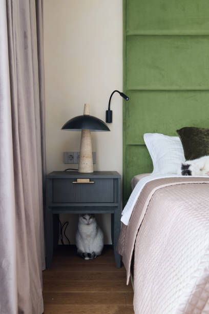 istock A Cozy Bedroom Scene Featuring a Cat Resting on a Soft Bed with a Stylish Green Headboard 2190737253