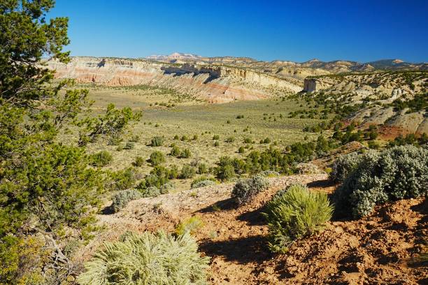 istock Grand Staircase Escalante National Monument Utah 2190741135