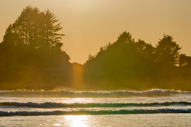 Shoreline of Pacific Rim National Park on Vancouver Island, British Columbia