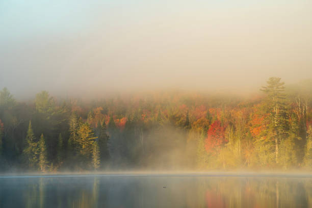 First light at Lake Bouchard in Autumn, La Mauricie National Park, Quebec, Canada