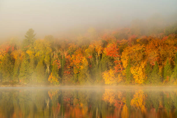 First light at Lake Bouchard in Autumn, La Mauricie National Park, Quebec, Canada