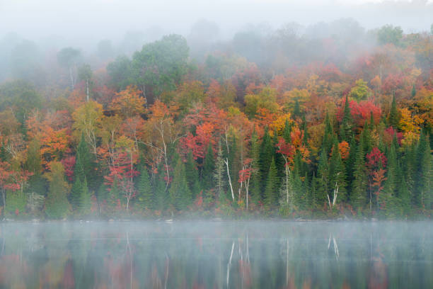 Lake Bouchard in Autumn, La Mauricie National Park, Quebec, Canada