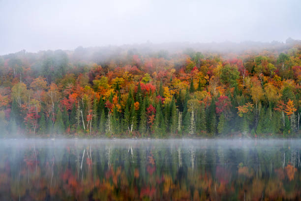 istock Autumn scenery at Lake Bouchard 2190749340