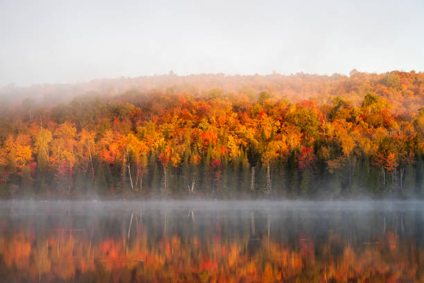 istock Autumn scenery at Lake Bouchard at Sunrise 2190749351