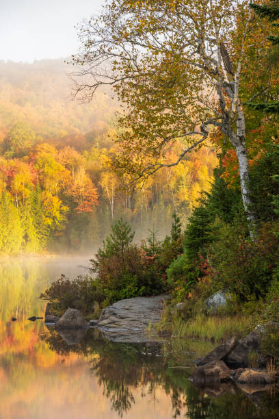 istock Autumn scenery at Lake Bouchard at Sunrise 2190749377