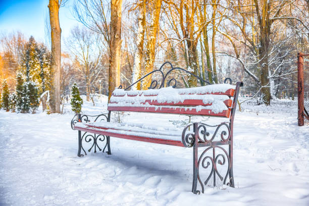 istock Stunning view of park bench and trees covered by heavy snow. 2190750316