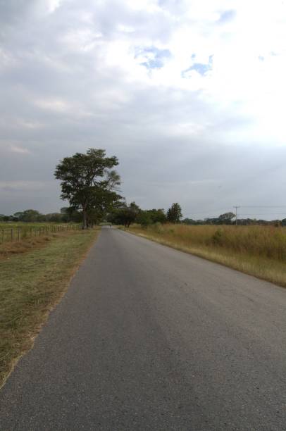 istock The roads of Cojedes. 2190753812