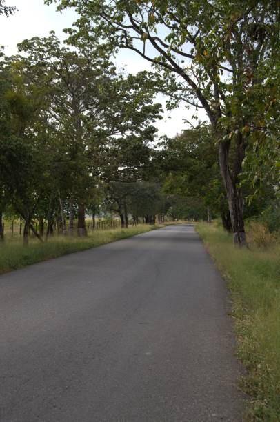 istock The roads of Cojedes. 2190753816