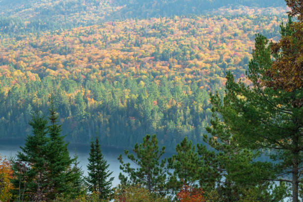 Scenery at le Passage Lookout in Autumn, La Mauricie National Park, Quebec, Canada