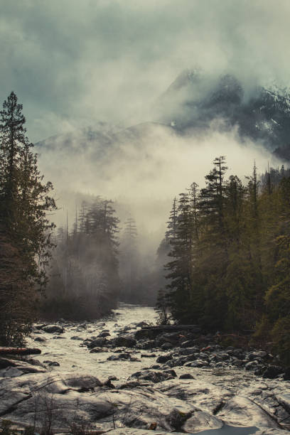 istock Moody Mountain River with Misty Forest in Winter Atmosphere. 2190757880