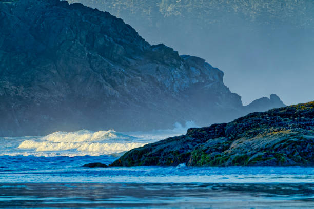 Shoreline of Pacific Rim National Park on Vancouver Island, British Columbia