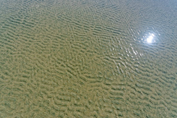 Beach sand Patterns found along the Pacific Rim National Park on Vancouver Island, British Columbia