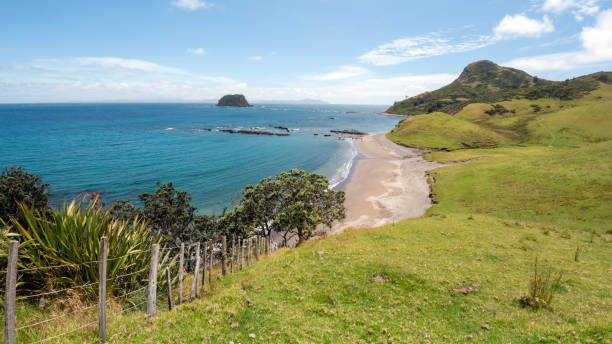 istock Fletcher Bay and its Rolling Hills along the remote Coromandel Coastal Walkway, Breathtaking views of the Pacific Ocean and the rugged landscape of the Moehau Range, New Zealand 2190758736