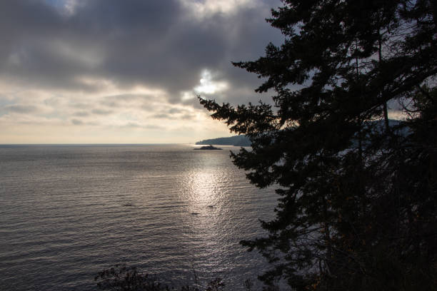 istock Clouds over a calm ocean framed by silhouetted pine trees 2190761150