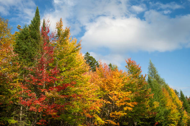 Fall colors at La Mauricie National Park, Quebec, Canada