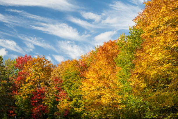 Fall colors at La Mauricie National Park, Quebec, Canada
