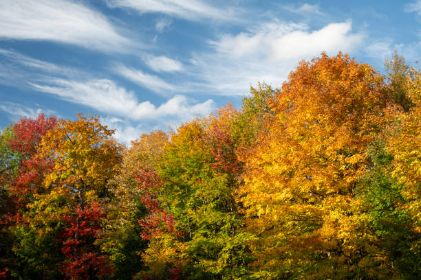 Fall colors at La Mauricie National Park, Quebec, Canada