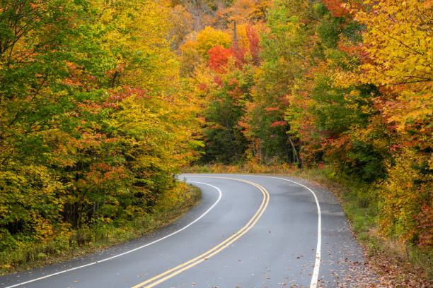istock Fall colors at La Mauricie National Park 2190765159