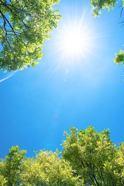 istock Beautiful sunlight through treetops with sunny blue sky copy space scene 2190766392